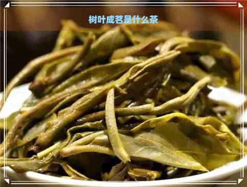 树叶成茗是什么茶