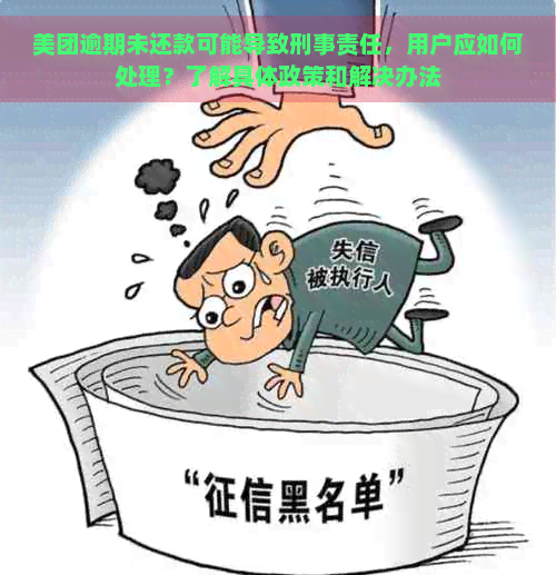 美团逾期未还款可能导致刑事责任，用户应如何处理？了解具体政策和解决办法