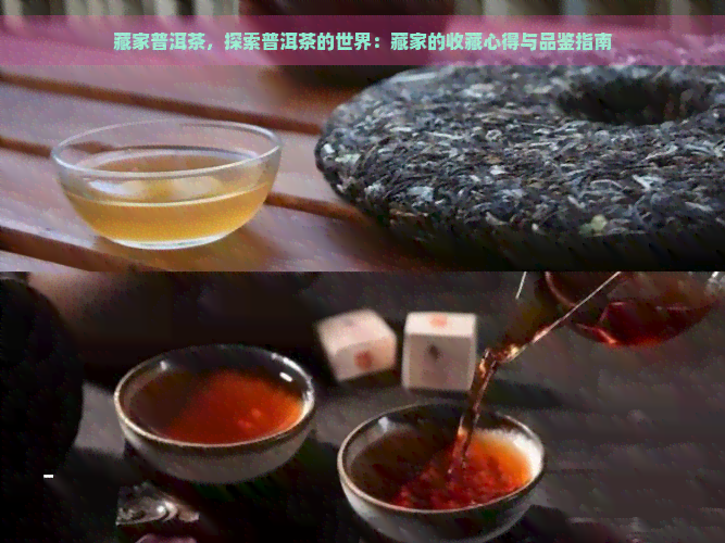 藏家普洱茶，探索普洱茶的世界：藏家的收藏心得与品鉴指南