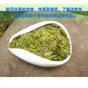 明日叶茶的功效、作用及禁忌，了解这些关键信息有助于更好地利用这种饮品。