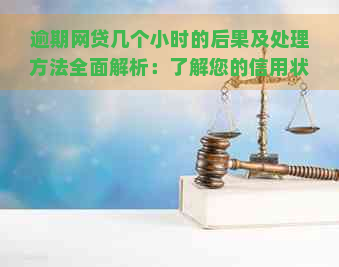 逾期网贷几个小时的后果及处理方法全面解析：了解您的信用状况和应对策略