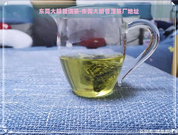 东莞大朗普洱茶-东莞大朗普洱茶厂地址