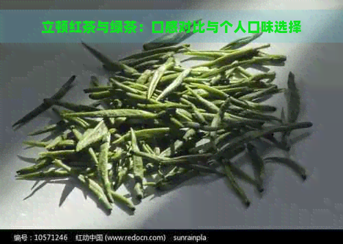 立顿红茶与绿茶：口感对比与个人口味选择