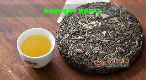 明前茶分哪几种-明前茶种类