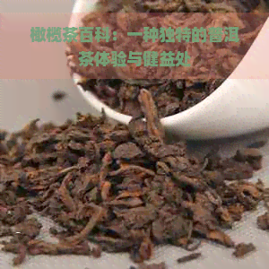 橄榄茶百科：一种独特的普洱茶体验与健益处