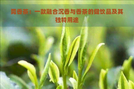 莞香茶：一款融合沉香与香茶的健饮品及其独特用途