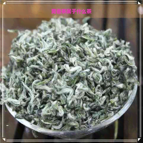 莞香茶属于什么茶