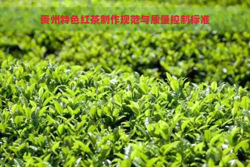 贵州特色红茶制作规范与质量控制标准