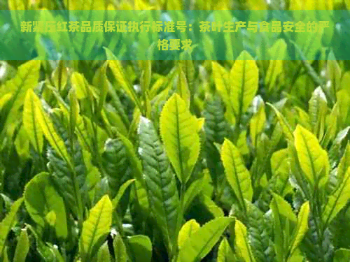 新紧压红茶品质保证执行标准号：茶叶生产与食品安全的严格要求