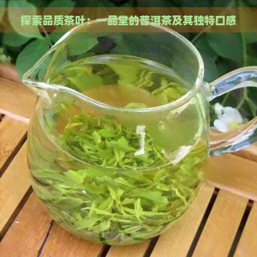 探索品质茶叶：一品堂的普洱茶及其独特口感