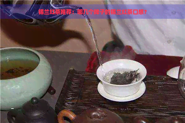 锡兰红茶推荐：哪几个牌子的锡兰红茶口感？