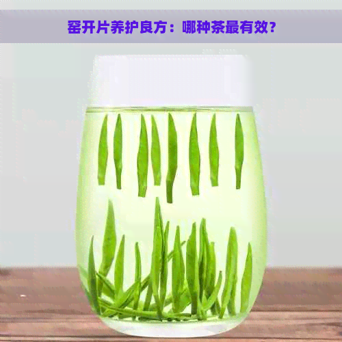 窑开片养护良方：哪种茶最有效？