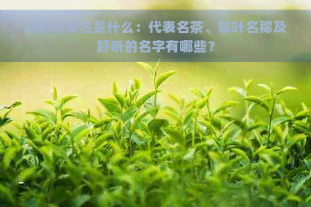 红茶的茶名是什么：代表名茶、茶叶名称及好听的名字有哪些？