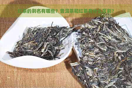 红茶的别名有哪些？普洱茶和红茶有什么区别？