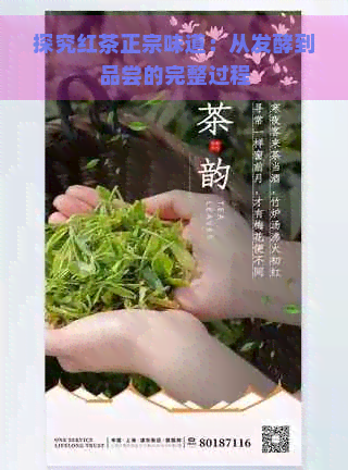 探究红茶正宗味道：从发酵到品尝的完整过程