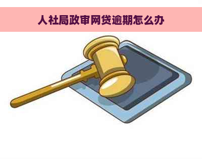 人社局政审网贷逾期怎么办