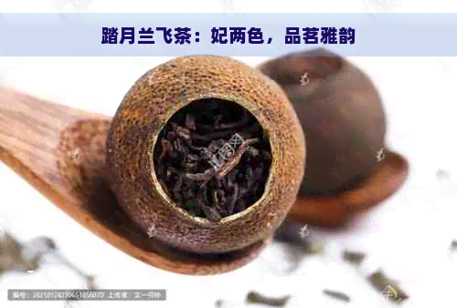 踏月兰飞茶：妃两色，品茗雅韵