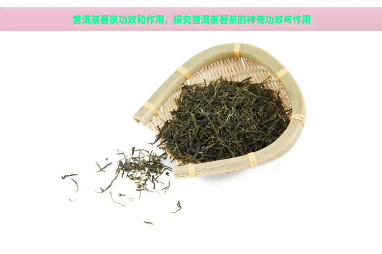 普洱茶薯茶功效和作用，探究普洱茶薯茶的神奇功效与作用