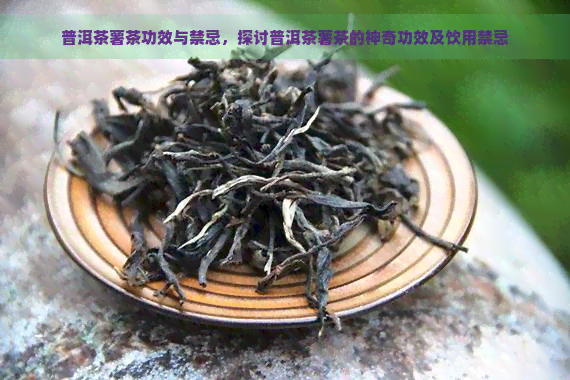 普洱茶薯茶功效与禁忌，探讨普洱茶薯茶的神奇功效及饮用禁忌