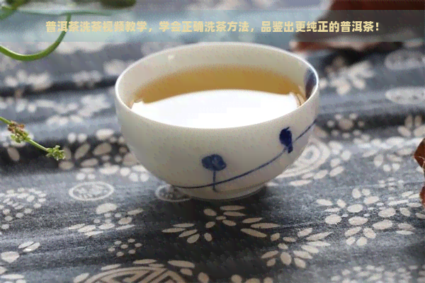 普洱茶洗茶视频教学，学会正确洗茶方法，品鉴出更纯正的普洱茶！