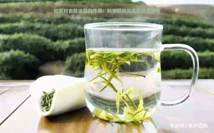 红茶对去除油脂的作用：科学研究与实际效果解析