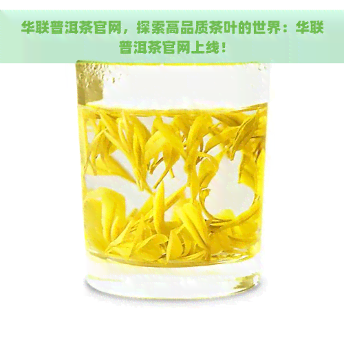 华联普洱茶官网，探索高品质茶叶的世界：华联普洱茶官网上线！