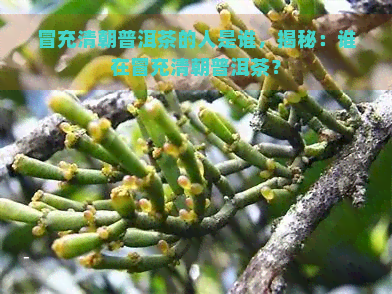 冒充清朝普洱茶的人是谁，揭秘：谁在冒充清朝普洱茶？