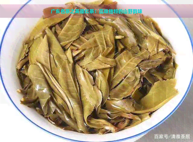 广东名茶之英德红茶：品味独特的山野韵味