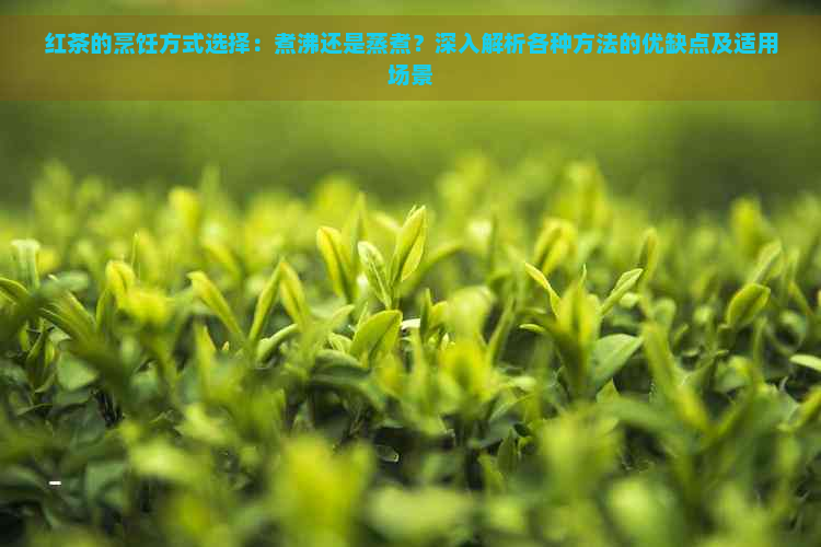 红茶的烹饪方式选择：煮沸还是蒸煮？深入解析各种方法的优缺点及适用场景