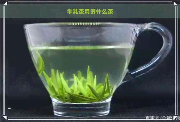 牛乳茶用的什么茶