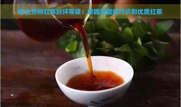 怎么分辨红茶好坏等级：掌握关键技巧识别优质红茶