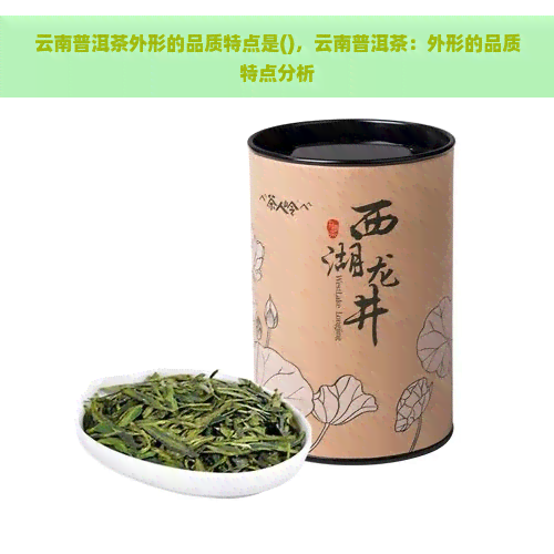 云南普洱茶外形的品质特点是()，云南普洱茶：外形的品质特点分析