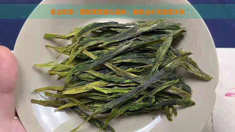 觅山饮茶：揭秘其茶类与品种，品味山水间的茶文化