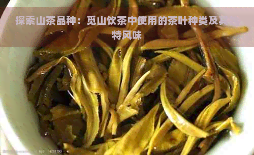 探索山茶品种：觅山饮茶中使用的茶叶种类及其独特风味