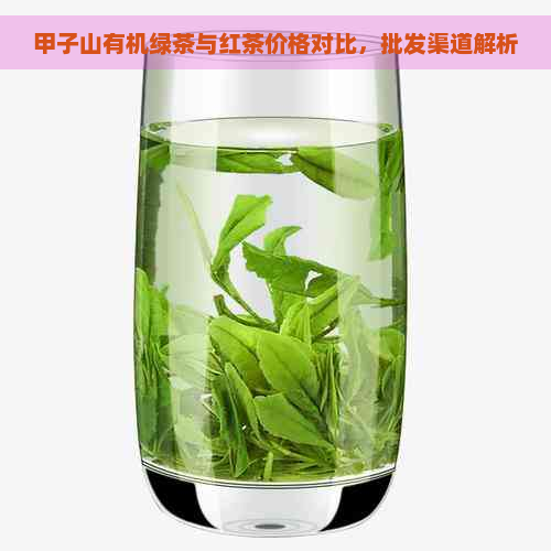 甲子山有机绿茶与红茶价格对比，批发渠道解析