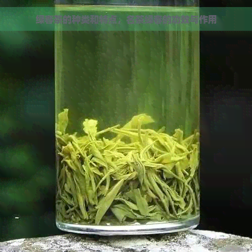 绿春茶的种类和特点，名茶绿春的功效与作用