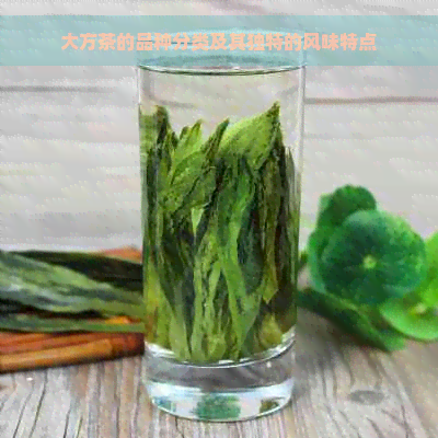 大方茶的品种分类及其独特的风味特点