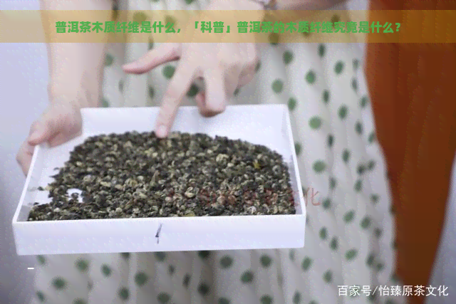 普洱茶木质纤维是什么，「科普」普洱茶的木质纤维究竟是什么？