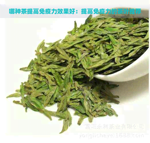 哪种茶提高免疫力效果好：提高免疫力的茶叶推荐