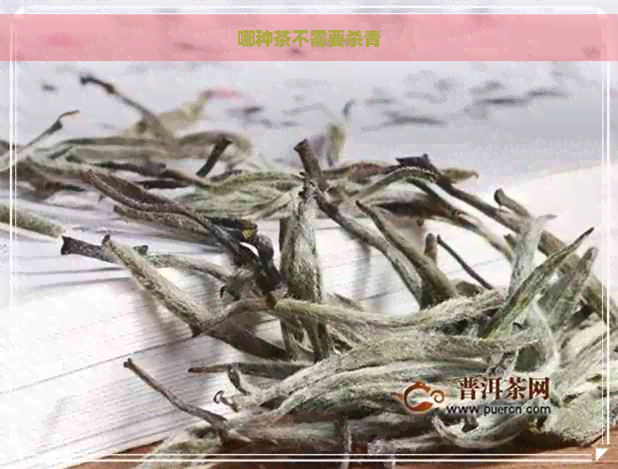 哪种茶不需要杀青