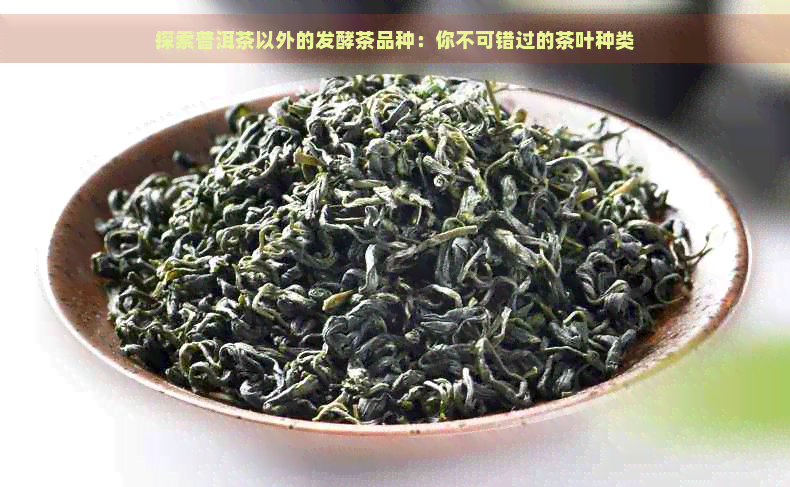 探索普洱茶以外的发酵茶品种：你不可错过的茶叶种类