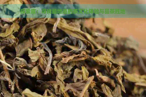 探索底：寻找最地道的茶文化体验与品茶胜地