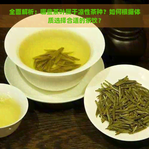 全面解析：哪些茶叶属于凉性茶种？如何根据体质选择合适的茶饮？