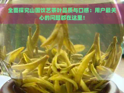 全面探究山国饮艺茶叶品质与口感：用户最关心的问题都在这里！