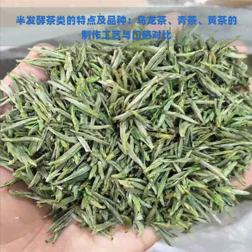 半发酵茶类的特点及品种：乌龙茶、青茶、黄茶的制作工艺与口感对比