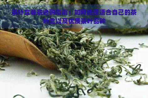 茶叶盒装茶选购指南：如何选择适合自己的茶叶盒以及优质茶叶品种