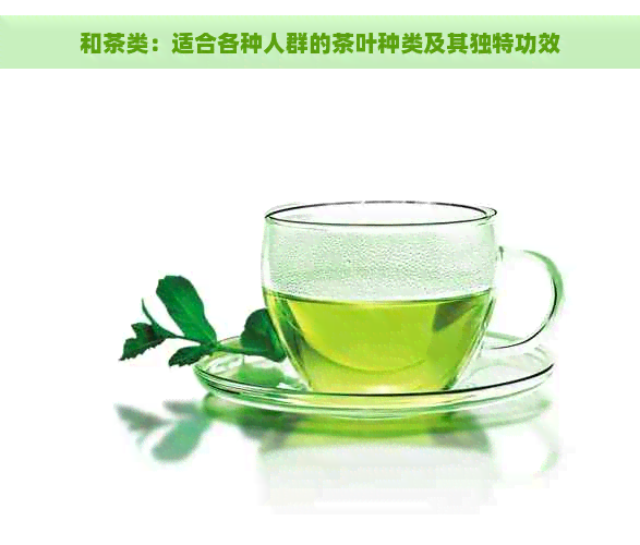 和茶类：适合各种人群的茶叶种类及其独特功效