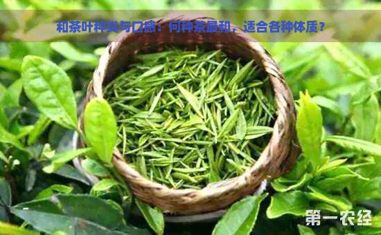 和茶叶种类与口感：何种茶最和，适合各种体质？