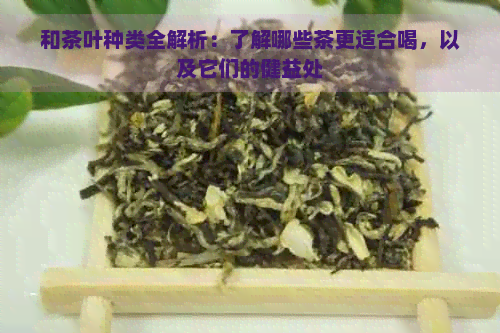 和茶叶种类全解析：了解哪些茶更适合喝，以及它们的健益处