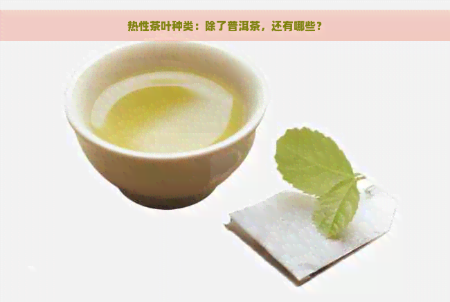 热性茶叶种类：除了普洱茶，还有哪些？